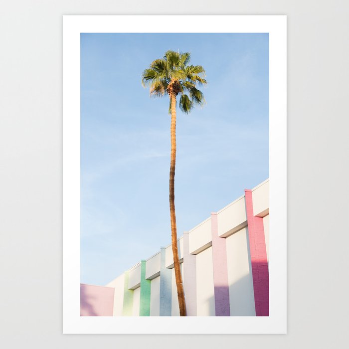 Palm at the Saguaro Art Print