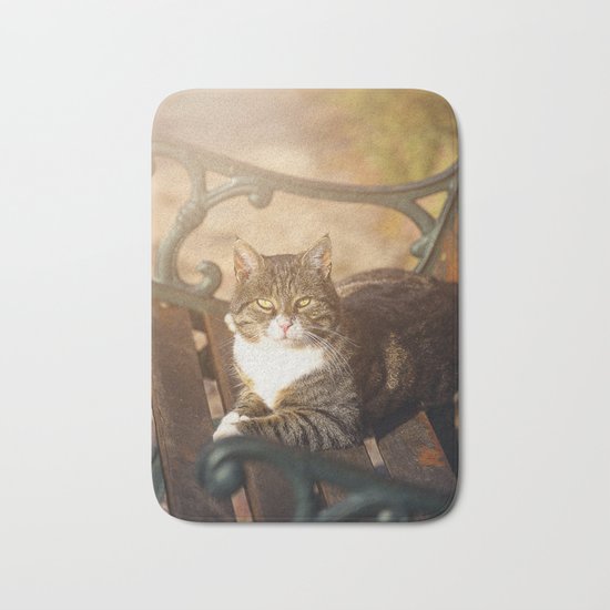 Cute cat relaxing in the sun on old bench Bath Mat