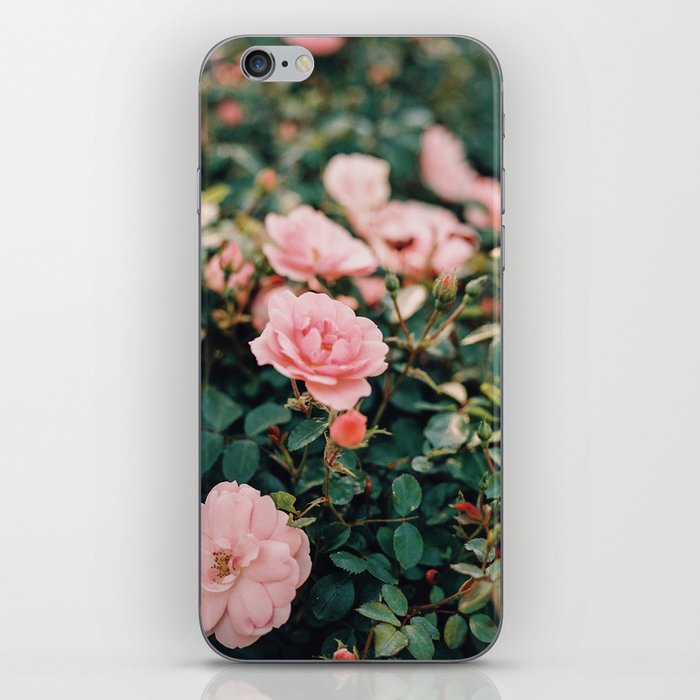 Dreamy wild pink roses on film iPhone Skin