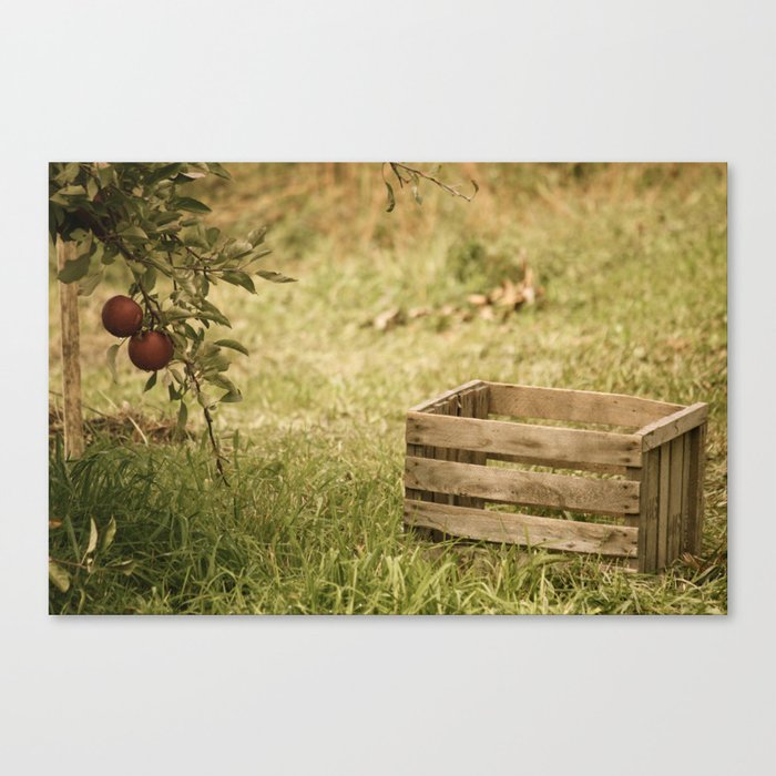 apple crate photograph Canvas Print