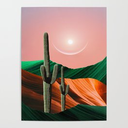 Cactus  Poster