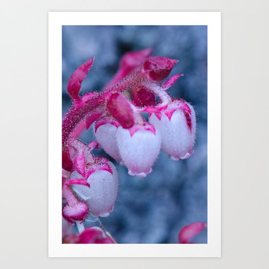 Pink Drops Art Print