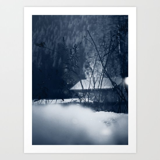 The Boat Shed Art Print