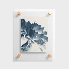 Blue Paeonia #3 Floating Acrylic Print
