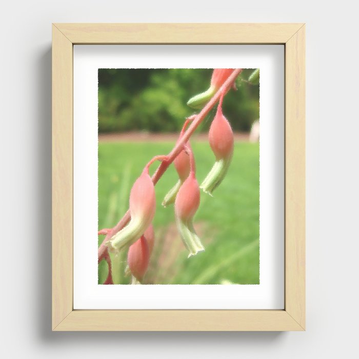Cactus Flowers Recessed Framed Print