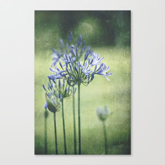 Summer in Bloom Canvas Print