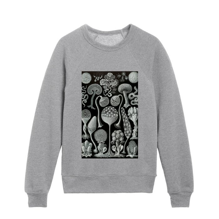 Ernst Haeckel Kids Crewneck