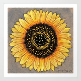 sunflower 1 Art Print