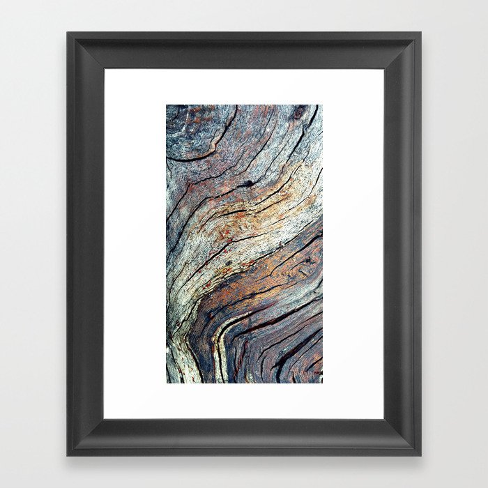 The Colours of the Trees Framed Art Print