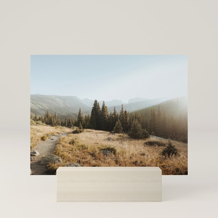 Mini Art Print