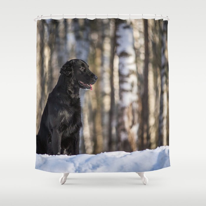 Flat Coated Retriever Black Dog Outdoor Shower Curtain