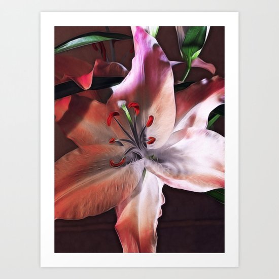 Lily Art Print