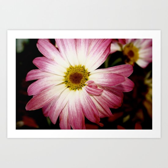 flower Art Print