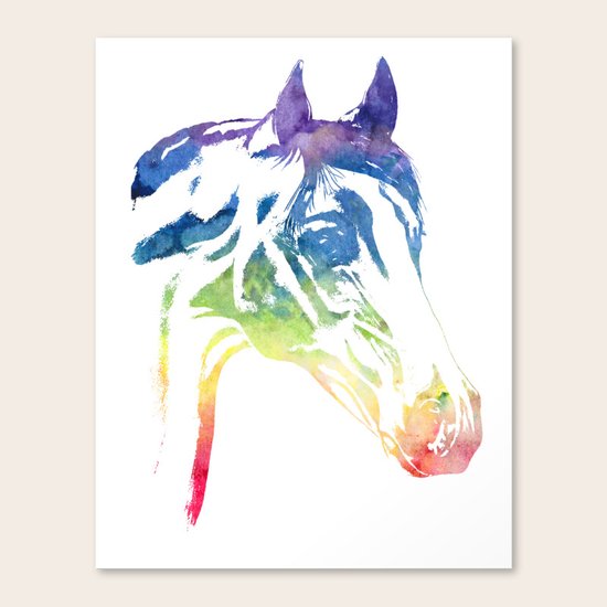 Rainbow Horse Canvas Print