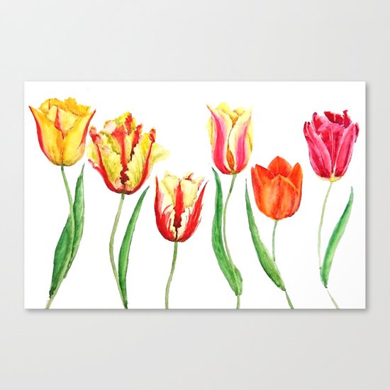 colorful tulips Canvas Print