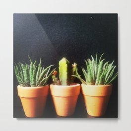 Mini Plants Pots Metal Print | Photo, Nature 