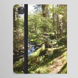 Playing in the Woods iPad Folio Case