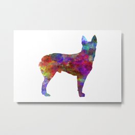 Australian Stumpy Tail Cattle Dog in watercolor-2 Metal Print | Australianstumpy, Watercolor, Tailcattledog, Colorfull, Digital, Ink, Print, Painting, Abstract, Desing 