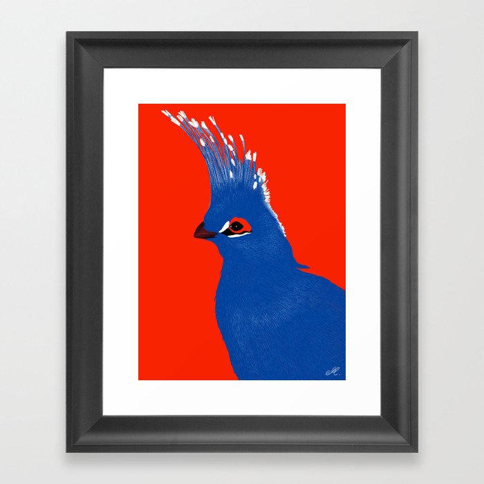Turako red and blue Framed Art Print