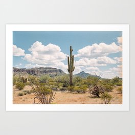 Saguaro Cactus Southwest Desert Landscape Art Print
