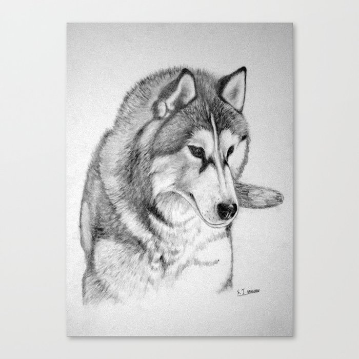 Siberian  Husky Canvas Print
