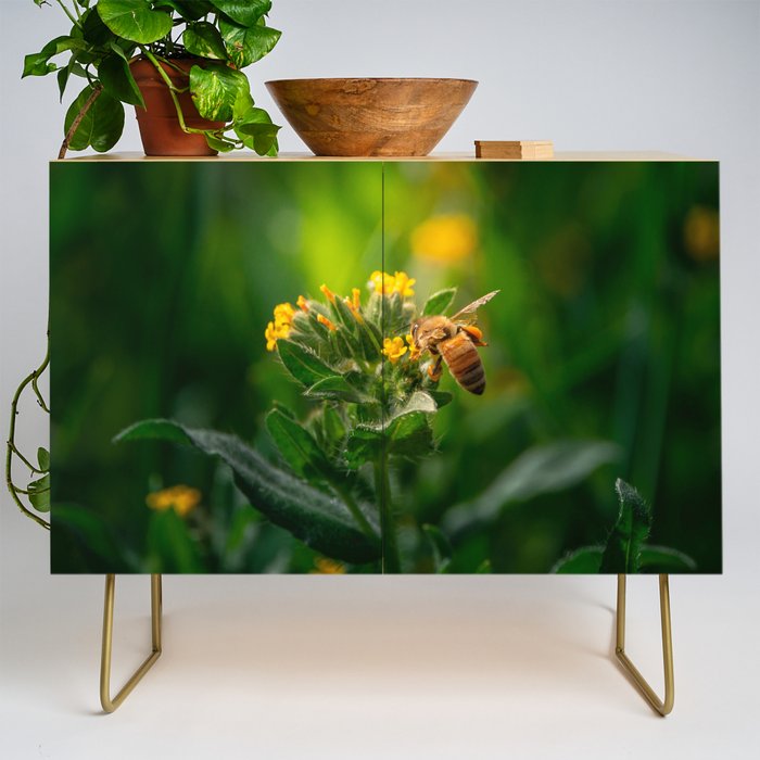 Honey Bee in Rich Colors Credenza