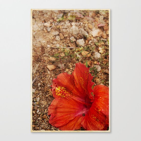 I Want Your Flowers Canvas Print