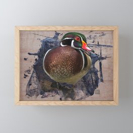 Wood Duck  Framed Mini Art Print
