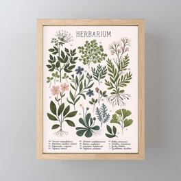 Herbarium ~ vintage inspired botanical art print ~ white Framed Mini Art Print