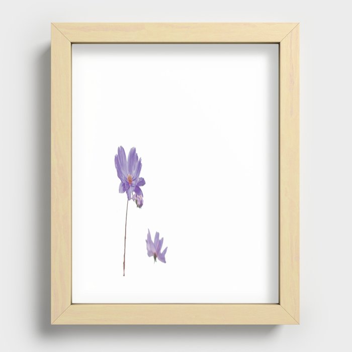 purple flower Recessed Framed Print
