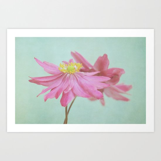 windflowers Art Print