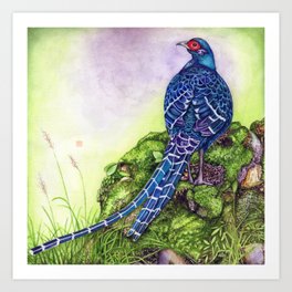 Blue Bird Art Print