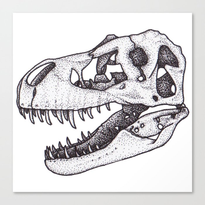 T. rex skull Canvas Print