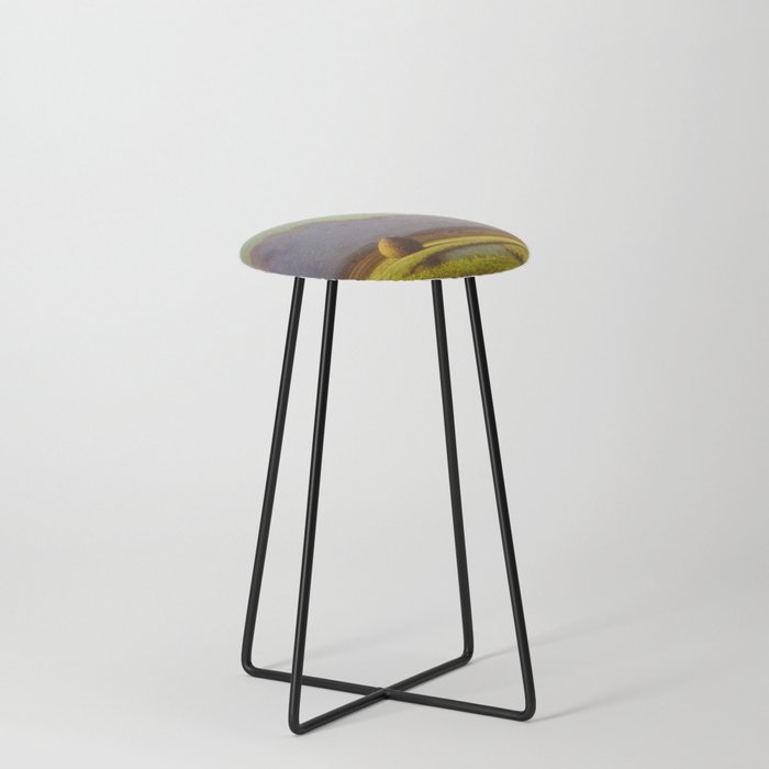 Sunlight and Shadow: The Newbury Marshes Counter Stool