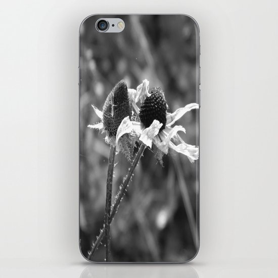 Stygian Stems iPhone & iPod Skin