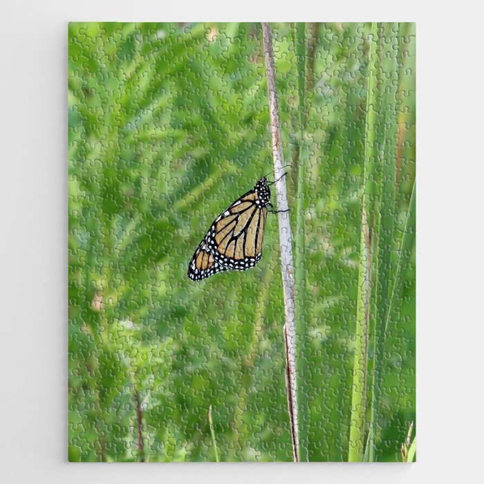 Monarch on a Stick Jigsaw Puzzle