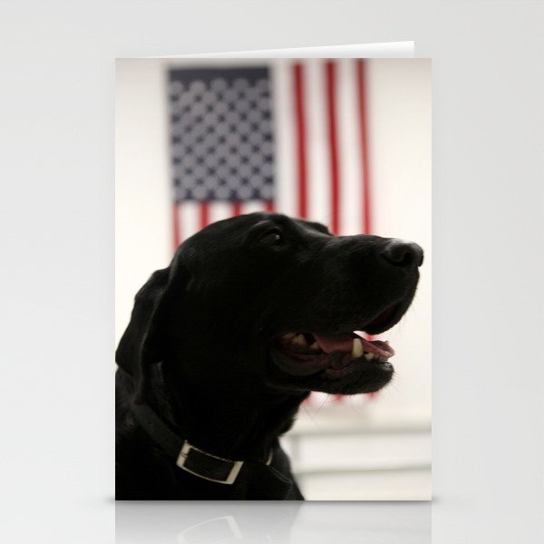 All-American Black Labrador Stationery Cards
