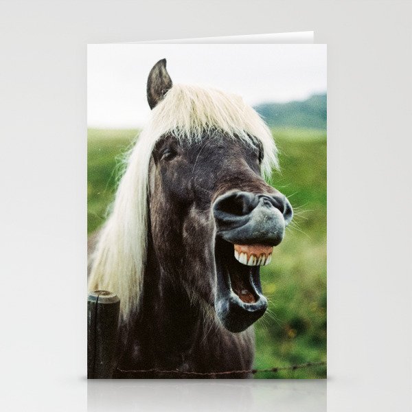 Iceland - Cheer up horse (Leica M3 & Kodak film) Stationery Cards