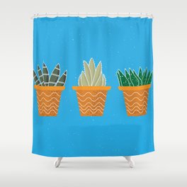 Succulent Trio - Blue Shower Curtain
