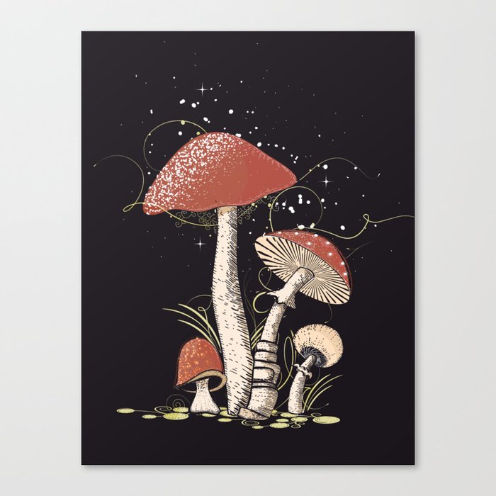 Different mushrooms Canvas Print