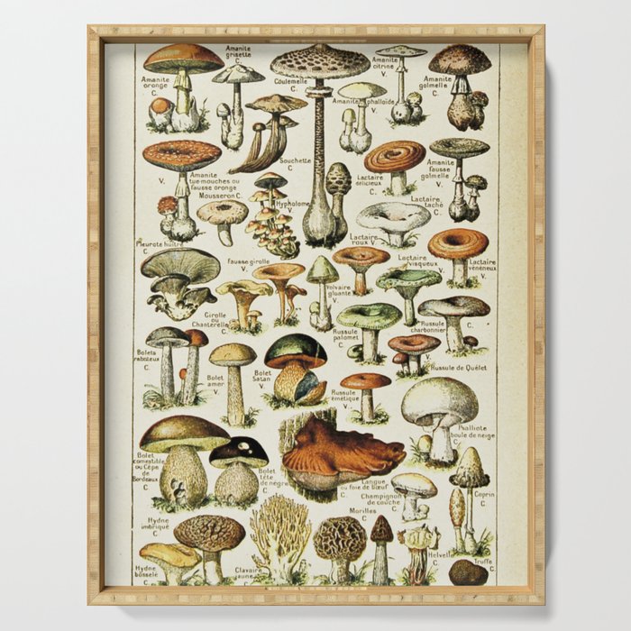 Vintage French Mushrooms Serving Tray