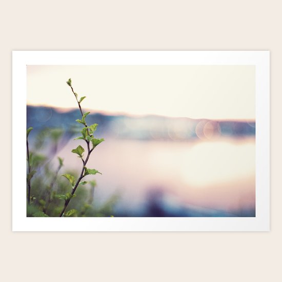 Colourful Art Print