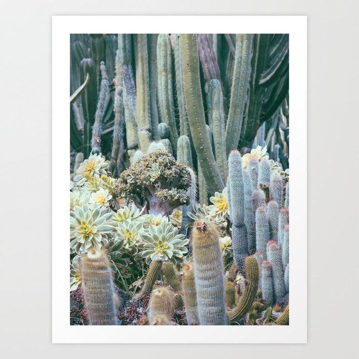 Cactus Garden #4 - Boho Botanical Art Print