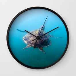 Turtle gliding underwater Wall Clock