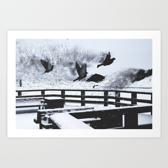 The Last of the Exploding Pigeons Art Print