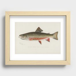 Trout fish Recessed Framed Print