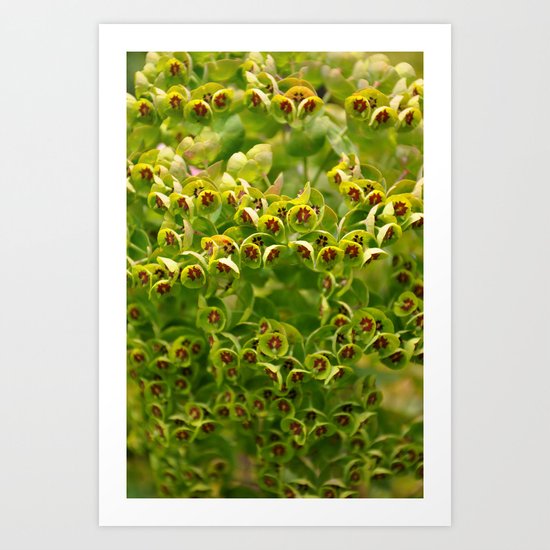 Green Flowers Art Print