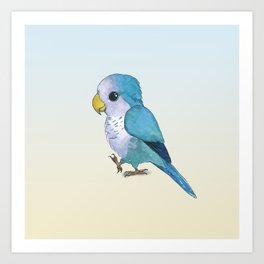 very cute blue quaker parrot Art Print