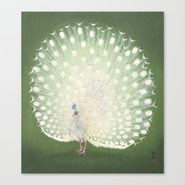 Peacock, Ohara Koson - Japanese Woodcut Canvas Print