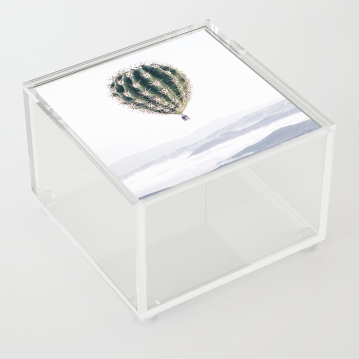 Flying Cactus Acrylic Box